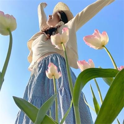 贞观盛事